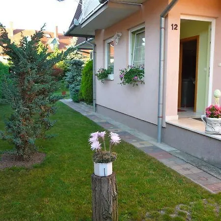 Fodi زلاكاروس